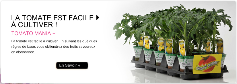 /wp-content/themes/twentyten/images/slider_fr_4.jpg
