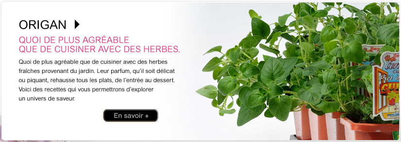 /wp-content/themes/twentyten/images/slider_fr_5.jpg